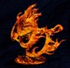 fireWyrm