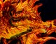 fireWyrm
